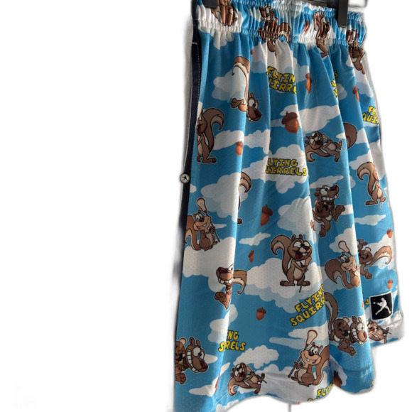 Lacrosse Unlimited FLYING SQUIRRELS Youth Size LG Drawstring Waist Shorts #F - Picture 5 of 10
